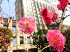 這個(gè)春天，帶上陽(yáng)光，與安琪兒同行
