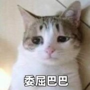 偶買噶！孕媽五一怎么玩？你要先戳進(jìn)來(lái)看噻！