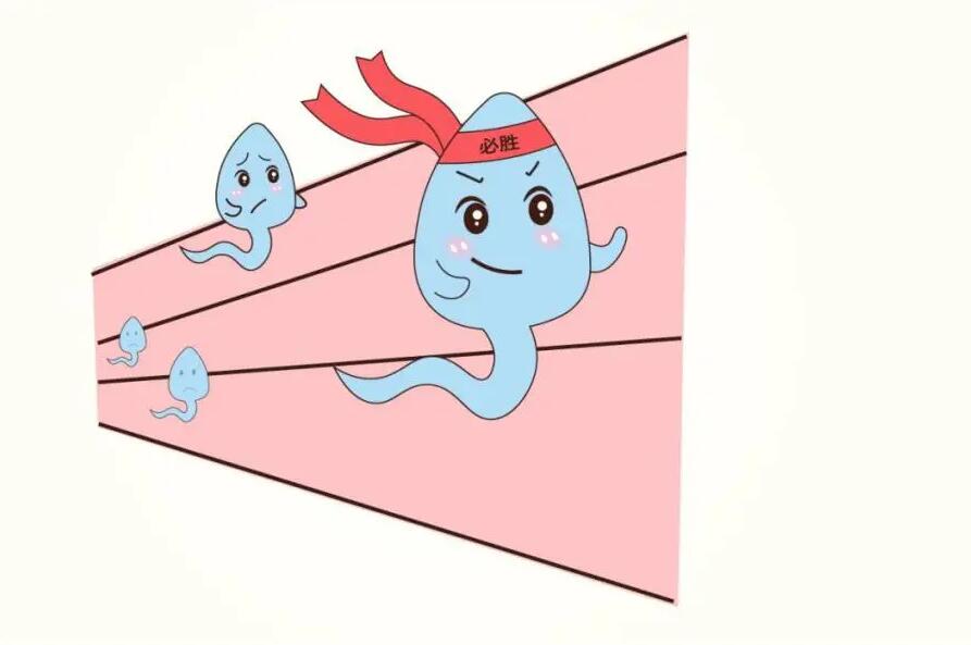 想培養(yǎng)出戰(zhàn)斗力強悍的小蝌蚪，靠禁欲行嗎？