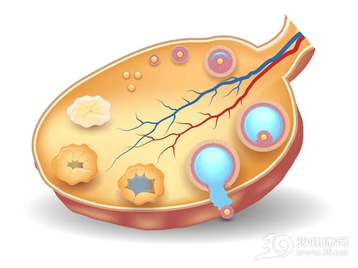雙側(cè)卵巢囊腫怎么辦，卵巢囊腫如何治療