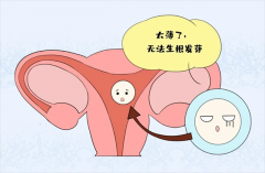 面對反復(fù)失敗，如何改善孕育新生命的“土壤”？