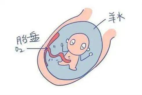 孕媽胎寶是否安好，羊水指標(biāo)你要知曉