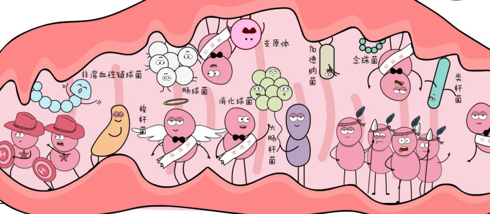 女性須知丨3道天然屏障守護(hù)私處健康，其中1道易被“誤傷”！