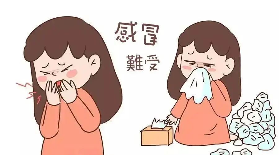 新手孕媽請進來，孕早期這些事項千萬要注意！